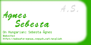 agnes sebesta business card