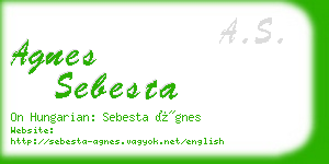 agnes sebesta business card